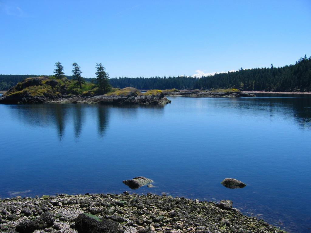 Gowlland Harbour Resort Heriot Bay Cameră foto